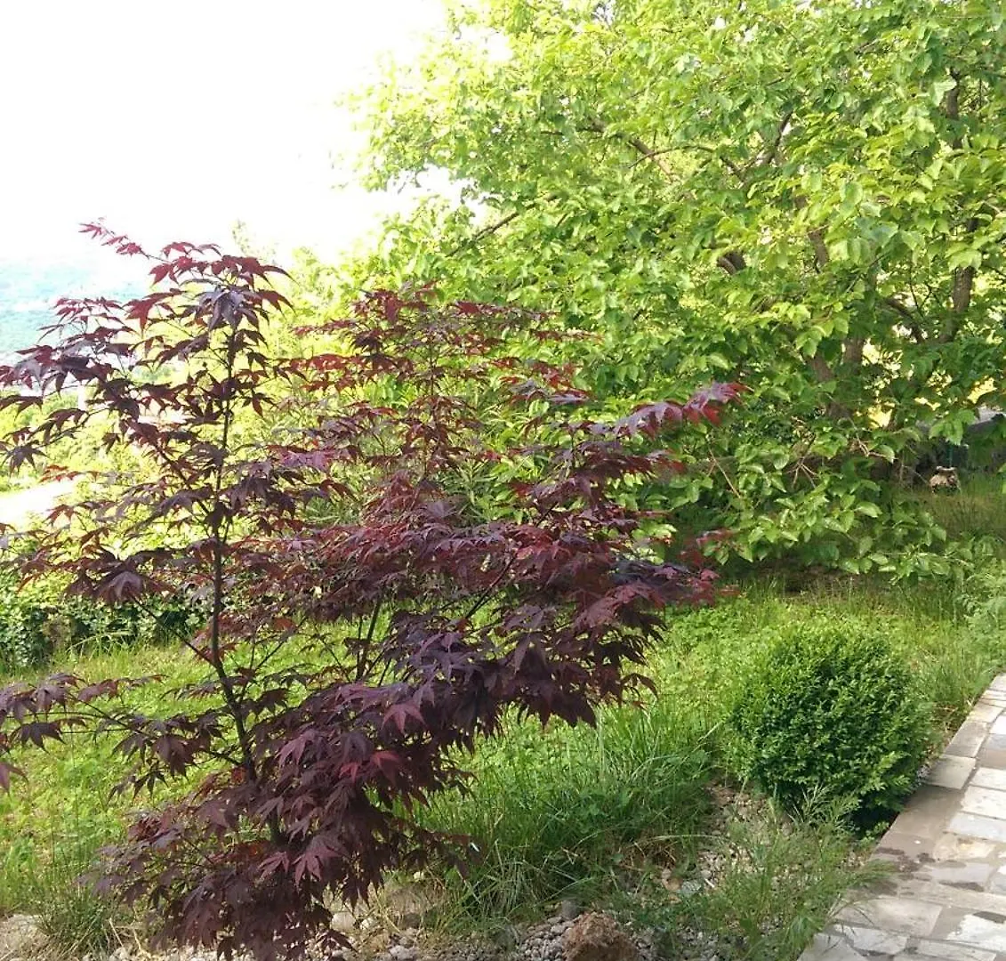 Apartmani Frlan Ii. Kastav 0*,  Kroatië